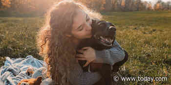 See the heartbreaking end-of-life pet photos this woman shoots for free
