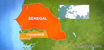 Senegal transport workers end strike - The Punch