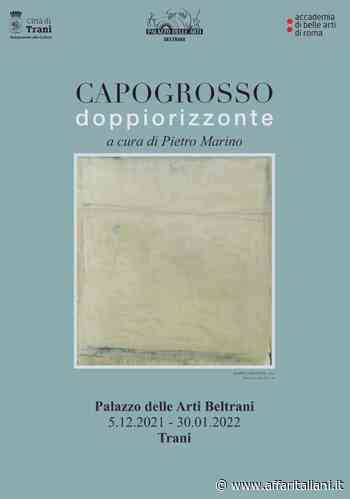 Trani, il vernissage a Palazzo Beltrani di Pietro Capogrosso - Affaritaliani.it