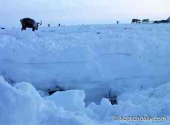 Rainfall in Arctic Will Soon Be More Common Than Snowfall – Decades Earlier Than Thought