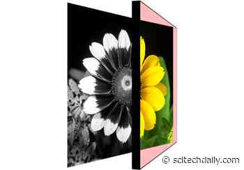 Color-Changing Magnifying Glass Gives Clear View of Invisible Infrared Light