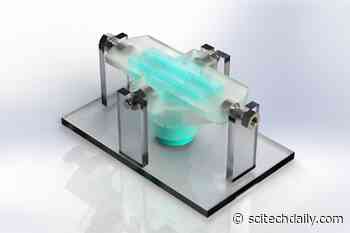 New Synthetic Biomaterial Can Repair Hearts, Muscles, and Vocal Cords