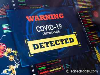 New Device Rapidly Detects Viruses Like COVID-19