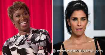 Joy Reid's Take on DeSantis Is So Insane, Even Famous Hollywood Lefty Is Calling Her Out