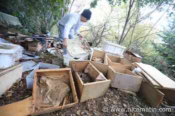 Des dizaines de cadavres de chats découverts dans une maison à Nice Nord