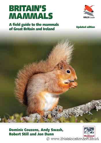 Give the gift of knowledge this Christmas