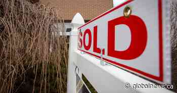 Canadian demand to buy homes in the United States has picked up: NAR report