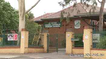 Live: NSW Now: More Omicron cases expected; bus strikes to begin