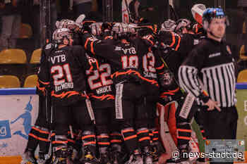 Löwen siegen in der Lausitz - News Stadt