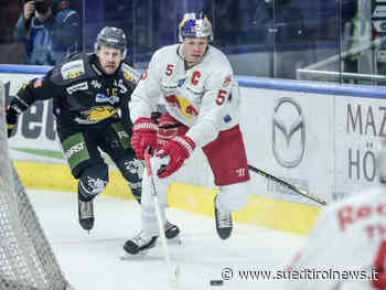 Sensation: Wölfe siegen in Salzburg – Südtirol News - Suedtirol News