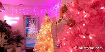 These Austin locales have transformed into winter wonderlands - austonia