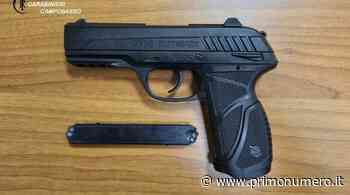 Termoli: in auto con pistola giocattolo modificata, denunciato 33enne - Primonumero