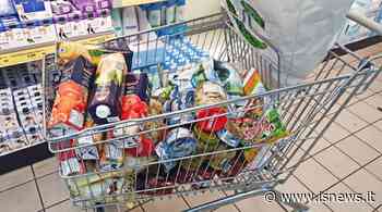 Termoli, il Comune lancia il bonus spesa: ecco come ottenerlo - isnews