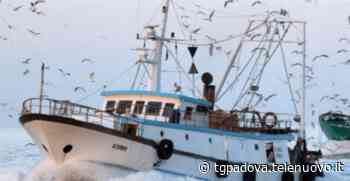 Appello del Mercato Ittico di Chioggia: No alla riduzione delle giornate della pesca - TgPadova