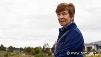 'Turbid, silted-up': As people flock to Victoria's Surf Coast, a construction boom is killing off green spaces