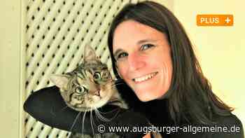 Neu-Ulmer Tiger-Nanny hat die Liebe zu Katzen zu ihrem Beruf gemacht - Augsburger Allgemeine