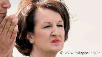 Aviation chief says a coffee with TD is not the same as lobbying - Independent.ie