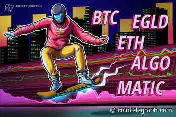 Top 5 cryptocurrencies to watch this week: BTC, ETH, MATIC, ALGO, EGLD