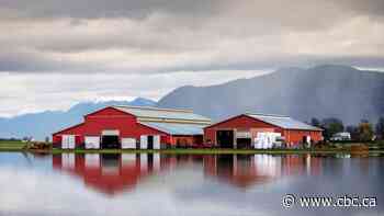 B.C. warns of possible water contamination following flooding