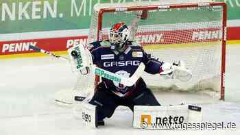 Eisbären stimmen Verlegung zu: Spiel in Augsburg erst im März - Tagesspiegel