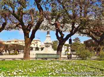 Santa Maria Capua Vetere, città verde? - Capuaonline.com