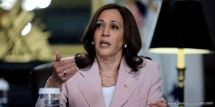 A former Kamala Harris staffer says aides have to endure 'a constant amount of soul-destroying criticism': report