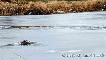 Man rescued after falling through ice on Red River