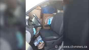 Omicron variant cases detected in Ottawa and driver packs a van full of packages: Top five stories this week - CTV News Ottawa