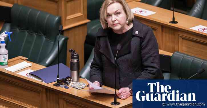 Judith Collins axed from frontbench after losing National party leadership