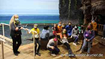 Außerschulische Lernbetreuung Lilienthal: Grundschüler im Klimahaus - WESER-KURIER