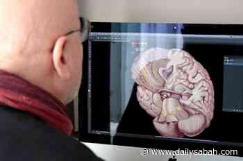 Turkish professor’s illustrations enliven medical world | Daily Sabah - Daily Sabah