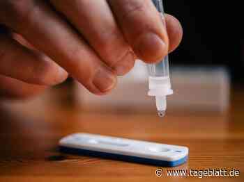 Schnelltest-Zertifikate aus dem Internet nicht gültig - Landkreis Stade - Tageblatt-online