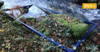 Kunstweg am Reichenbach bei Gernsbach bietet reichlich Kultur - BNN - Badische Neueste Nachrichten