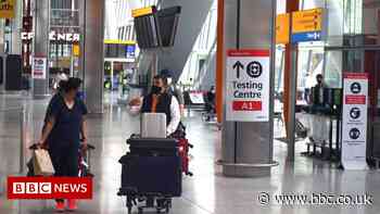 Covid: Travel changes too late to halt potential new wave - scientist