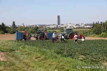 Erster Landwirtschaftstag in Kernen: Bio-Landbau und Rosenkohl im Mittelpunkt - Zeitungsverlag Waiblingen
