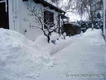 Was viele Leute dieser Tage interessiert - Lutherstadt Wittenberg - myheimat.de - myheimat.de