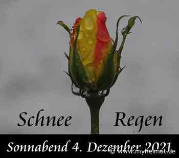 Ein paar Schneeföcken haben uns auch erreicht ! - Lutherstadt Wittenberg - myheimat.de - myheimat.de