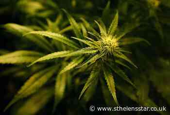Man who had cannabis obstructed police officer - St Helens Star