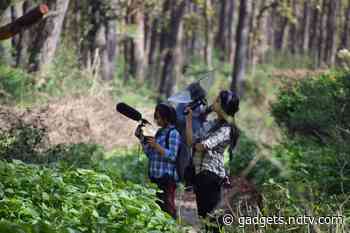 Nature’s Radio: Listening to Birds Singing to My Microphone - NDTV