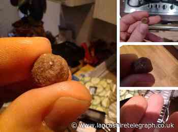 Company find 'no fault' with food safety process after 'metal shavings' found in dog biscuits