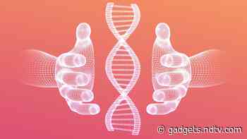 DNA Could Soon Become the World's Smallest Hard Drive