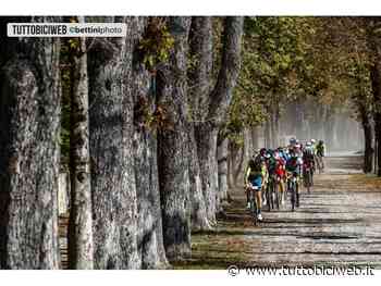 GRAVEL IN THE LAND OF VENICE, 1350 KM DI PERCORSI STERRATI NELLA PROVINCIA DI TREVISO - TUTTOBICIWEB.it