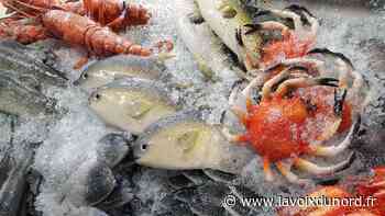Arras : la nouvelle création de Cité Nature, pour savourer et comprendre ce qu'il y a dans nos assiettes - La Voix du Nord