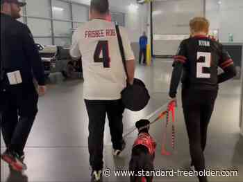 Air cannon spooks Calgary's Touchdown Dog before NFL halftime show - Standard Freeholder