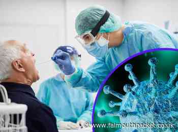 Coronavirus in Cornwall update: Saturday, December 4 2021 - Falmouth Packet