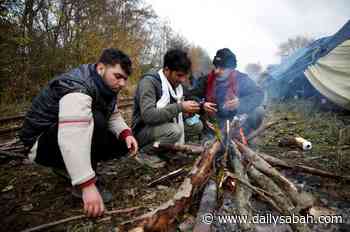 20 tons of firewood donated to refugee camp by French forest owner | Daily Sabah - Daily Sabah