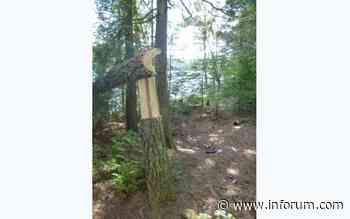 Forest Service reducing permits for Boundary Waters - INFORUM