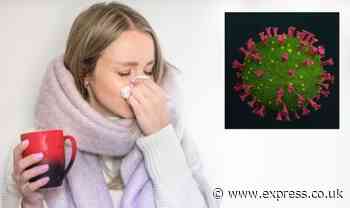 Omicron variant: The 'most important' symptoms to be aware of - have you spotted them? - Daily Express