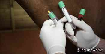 Geval van het rhinovirus vastgesteld in Antwerpen - equnews.be