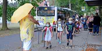 Luckenwalde: Grundschüler dürfen nicht kostenlos Schulbus fahren, weil ihre Eltern getrennt sind - Märkische Allgemeine Zeitung